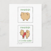 Carte Postale Poméranien dans un chandail nue (Devant)