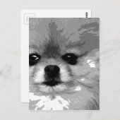 Carte Postale Poméranien noir et blanc (Devant / Derrière)