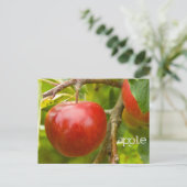 Carte postale "pomme" de Proverbes 7:2 (Debout devant)