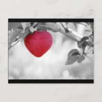 Pomme en forme de coeur rouge dramatique