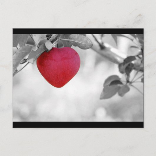 Carte Postale Pomme en forme de coeur rouge dramatique (Devant)