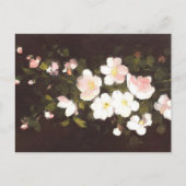 Carte Postale Pomme fleurs (Devant)