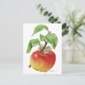 Carte postale " Pomme Jeanne Hardy " (Debout devant)