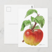 Carte postale " Pomme Jeanne Hardy " (Devant / Derrière)