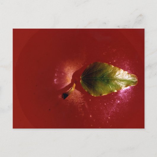 Carte Postale Pomme rouge (Devant)