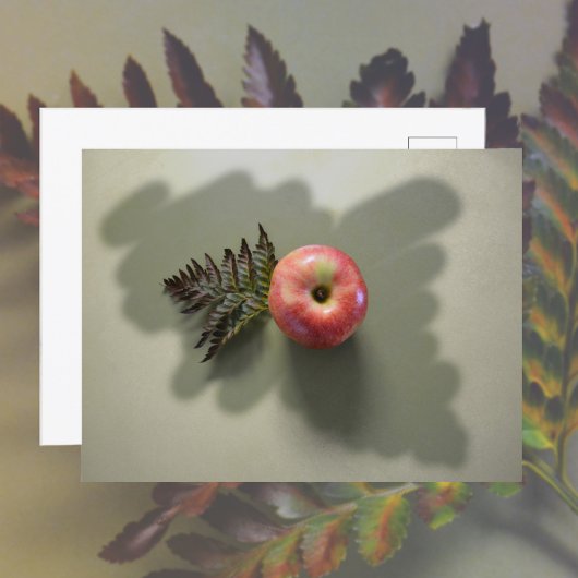 Carte Postale Pomme rouge sur fond photographique vert