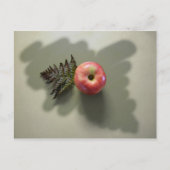 Carte Postale Pomme rouge sur fond vert photographique (Devant)