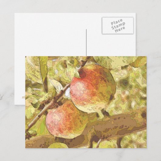 CARTE POSTALE POMMES (Devant / Derrière)