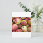Carte Postale Pommes (Debout devant)