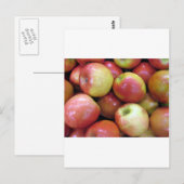 Carte Postale Pommes (Devant / Derrière)