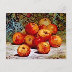 Carte postale Pommes