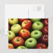 Carte Postale Pommes (Devant / Derrière)