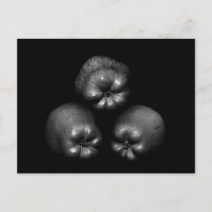 Carte Postale Pommes - Art Classique Élégant Amusant Unique