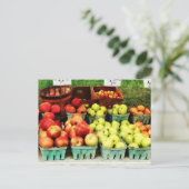 Carte Postale Pommes au marché agricole (Debout devant)
