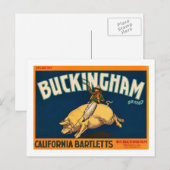 Carte Postale Pommes Bartlett de Buckingham - Étiquette Crate Vi (Devant / Derrière)