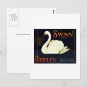 Carte Postale Pommes de cygne (Devant / Derrière)