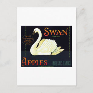 Carte Postale Pommes de cygne