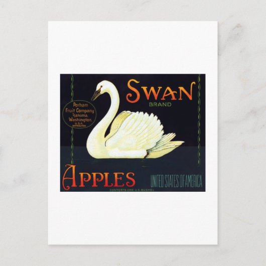 Carte Postale Pommes de cygne (Devant)