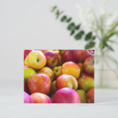 Carte Postale Pommes de marché des agriculteurs (Debout devant)