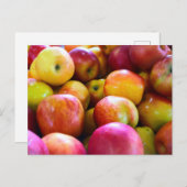 Carte Postale Pommes de marché des agriculteurs (Devant / Derrière)