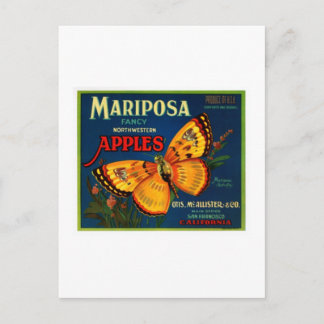 Carte Postale Pommes de Mariposa