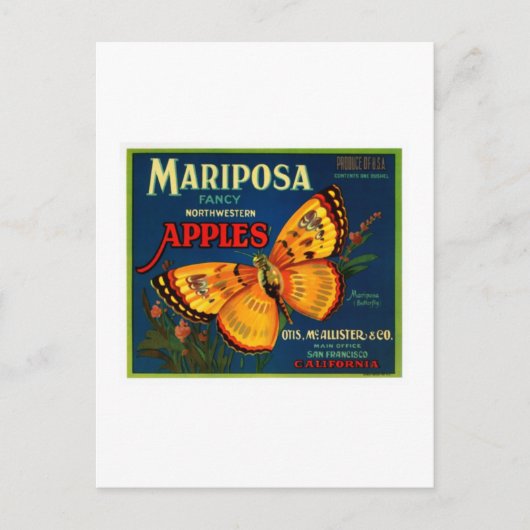 Carte Postale Pommes de Mariposa (Devant)