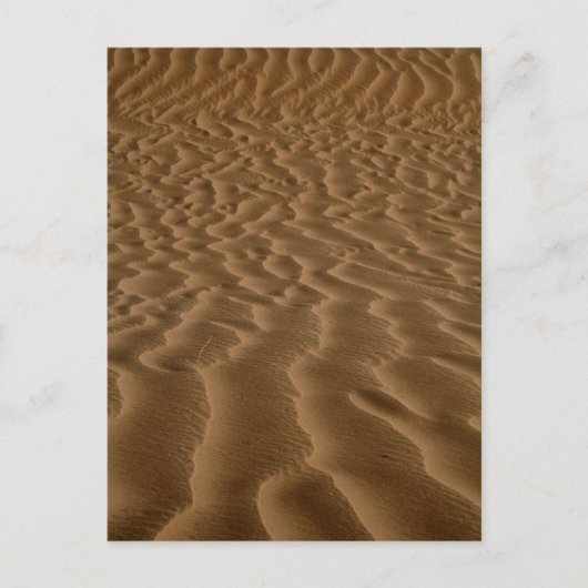 Carte Postale Pommes de sable (Devant)