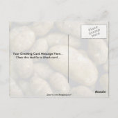 Carte Postale Pommes de terre (Dos)