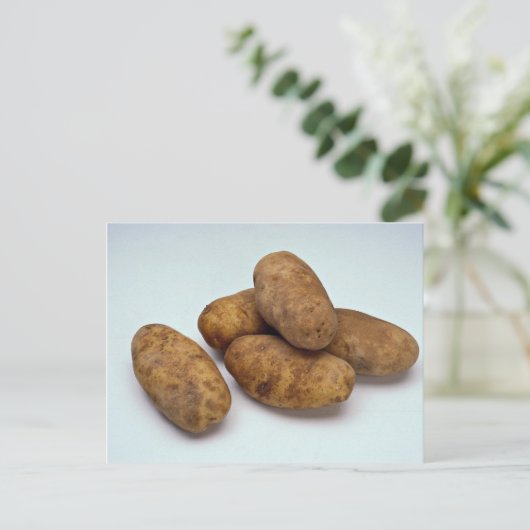 Carte Postale Pommes de terre (Debout devant)