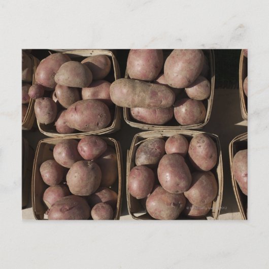 Carte Postale Pommes de terre sur le marché d'un fermier du New (Devant)