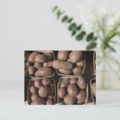 Carte Postale Pommes de terre sur le marché d'un fermier du New (Debout devant)