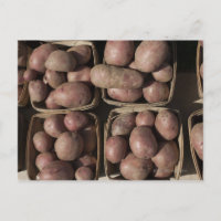 Pommes de terre sur le marché d'un fermier du New 