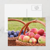 Carte postale Pommes et prunes (Devant / Derrière)