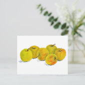 Carte Postale Pommes jaunes pastel nature morte (Debout devant)
