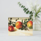 Carte Postale Pommes Luscieuses (Debout devant)