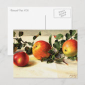 Carte Postale Pommes Luscieuses (Devant / Derrière)