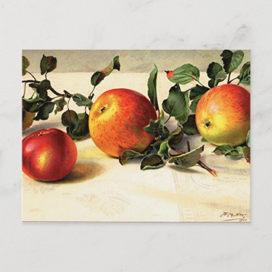 Carte Postale Pommes Luscieuses (Devant)