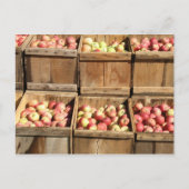 Carte Postale Pommes Macintosh Par Le Crate (Devant)