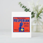 Carte Postale Pommes occidentales de fruits (Debout devant)