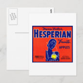 Carte Postale Pommes occidentales de fruits (Devant / Derrière)