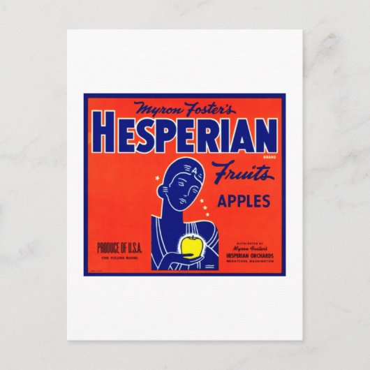 Carte Postale Pommes occidentales de fruits (Devant)