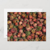 Carte Postale Pommes pourries (Devant / Derrière)