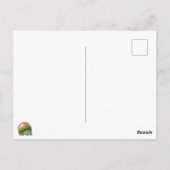 Carte Postale Pommes sur la branche (Dos)