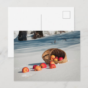 Carte Postale Pommes sur la neige