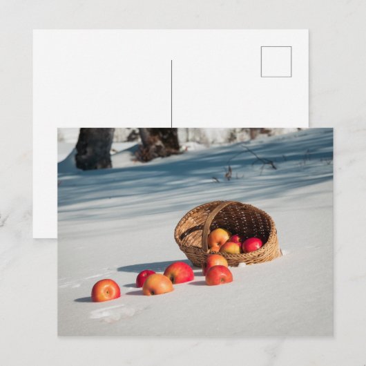 Carte Postale Pommes sur la neige (Devant / Derrière)