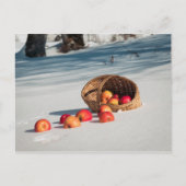 Carte Postale Pommes sur la neige (Devant)