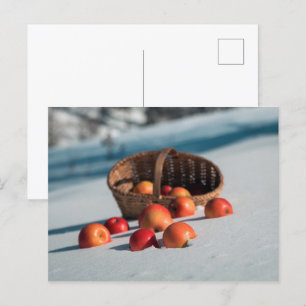 Carte Postale Pommes sur la neige
