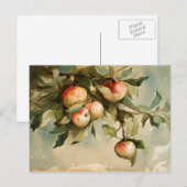 Carte Postale Pommes sur une branche (Devant / Derrière)