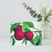 Carte Postale "Pommes sur une branche" (Debout devant)