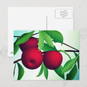 Carte Postale "Pommes sur une branche" (Devant / Derrière)